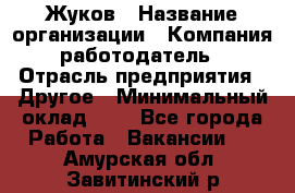 Жуков › Название организации ­ Компания-работодатель › Отрасль предприятия ­ Другое › Минимальный оклад ­ 1 - Все города Работа » Вакансии   . Амурская обл.,Завитинский р-н